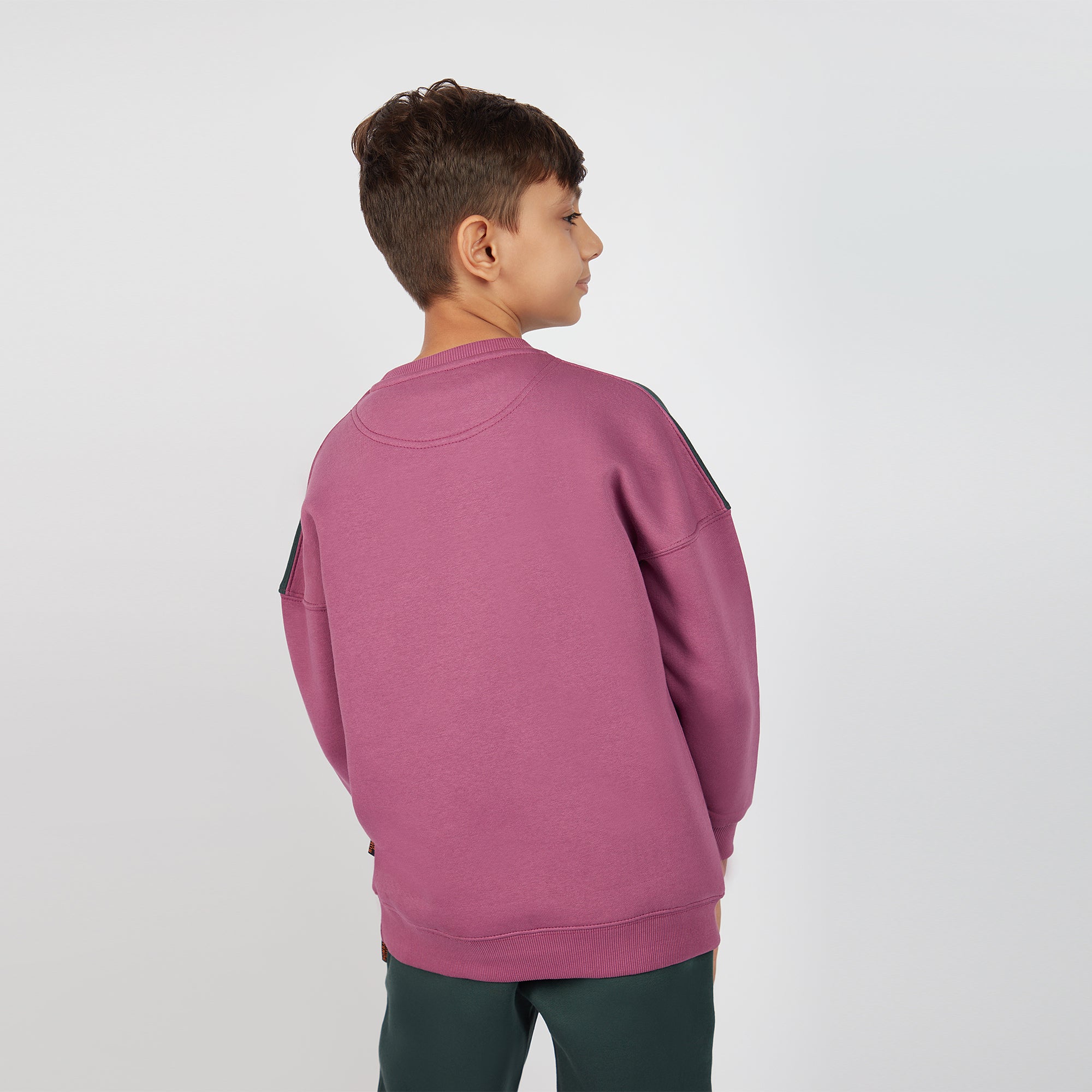 Bombay High Boy's Purple Color Block Knit Sweatshirt